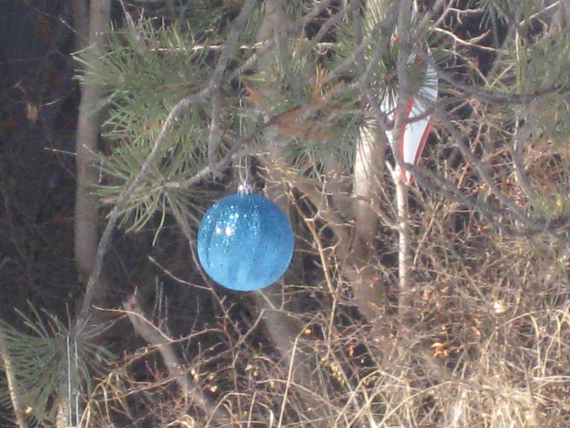 christmas ornament